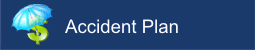 Accident Plan